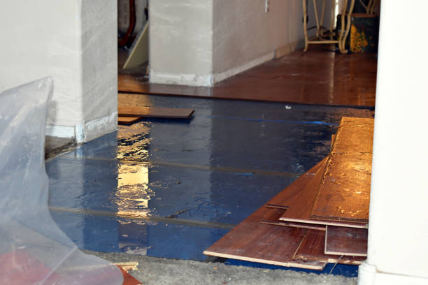 Professional Water Damage Repair technician working in Fitchburg, MA