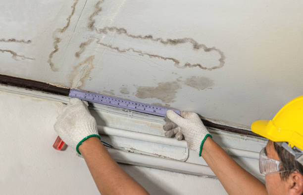 Reliable Water Damage Repair contractor in Fitchburg, MA by Local Water Damage Repair
